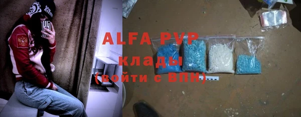 прущие грибы Дмитров