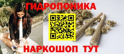 скорость Ижевск
