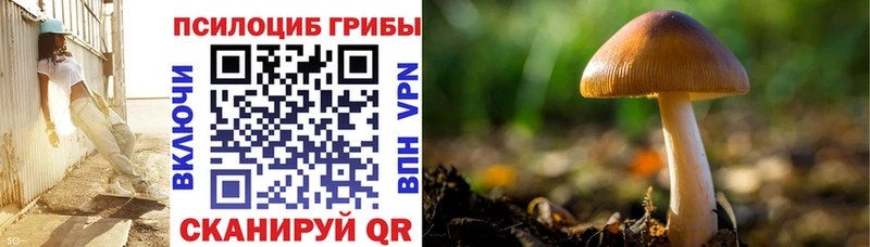 где продают   Котлас  Псилоцибиновые грибы ЛСД 
