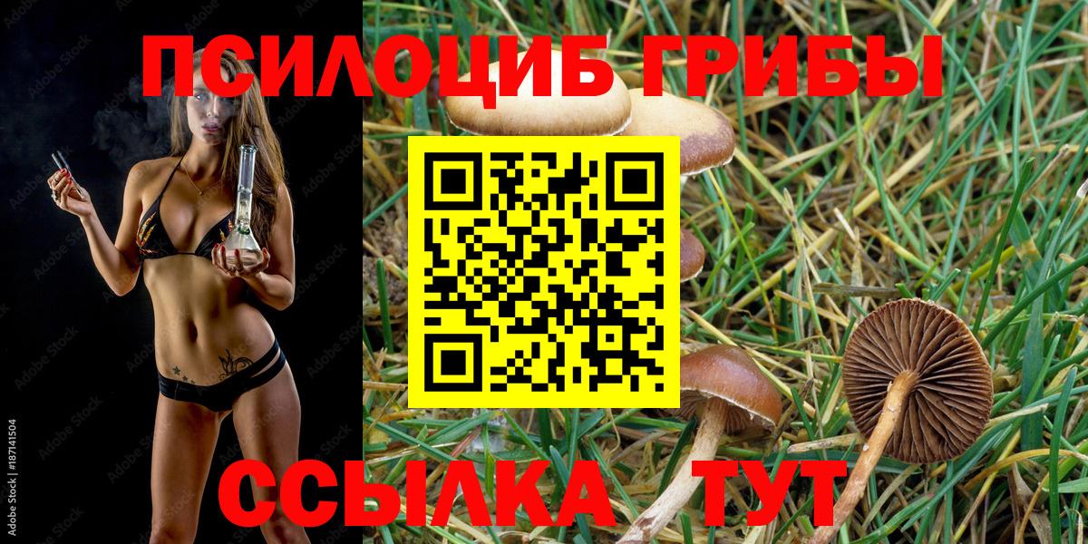 Галлюциногенные грибы прущие грибы  Вход с VPN  наркота  Котлас 