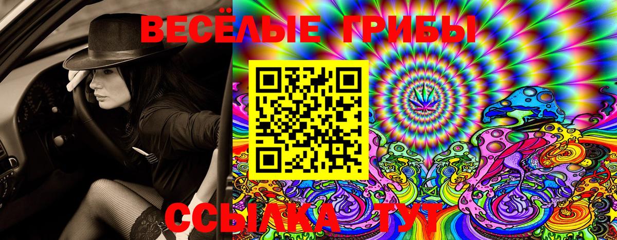 Галлюциногенные грибы Cubensis Котлас